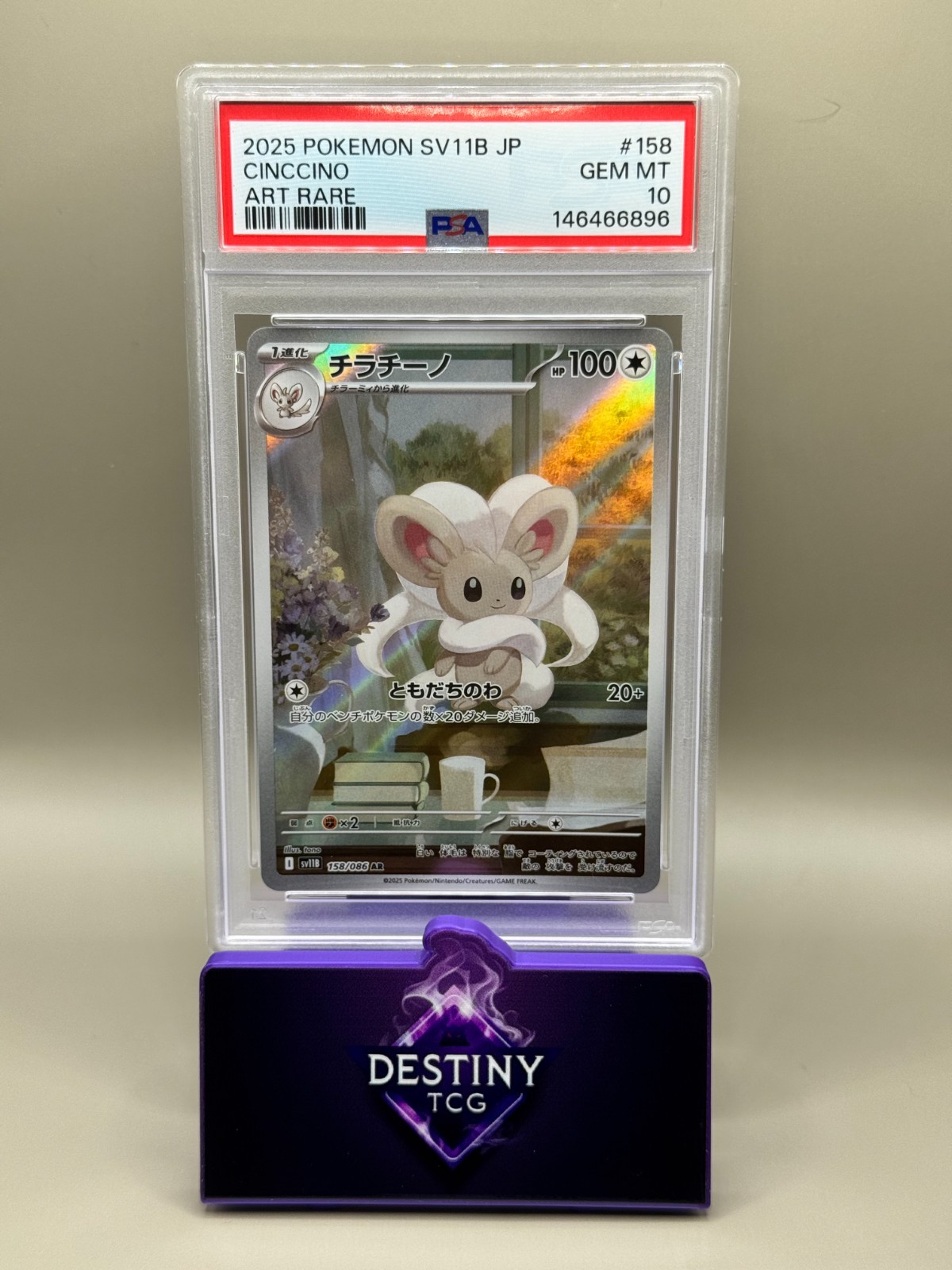 Cinccino (JP)