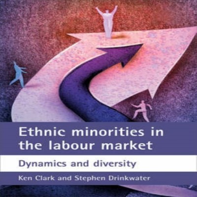 Ethnic minorities in the labour market Bristol University Press P