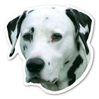 Dalmatian Magnet