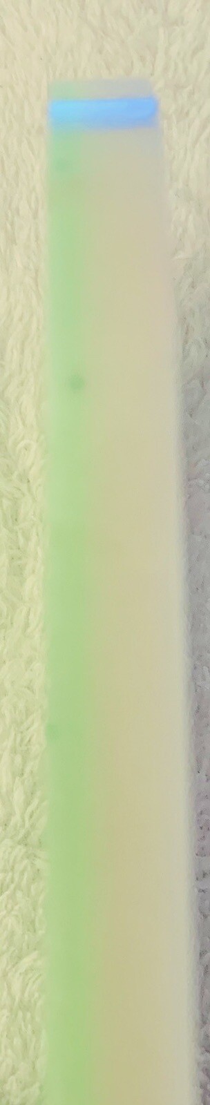 Foto 6 di 6