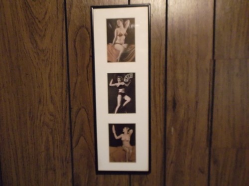 gerahmte Vintage 3 Pin Up Girl Arcade Karten 30er 40er Bikinis 3x5 Karten 18x6 Rahmen - Bild 1 von 6