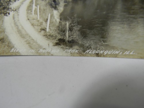 Postal RPPC Algonquin Illinois, escena en Buffalo Park 1946 - P47 - Imagen 2 de 5