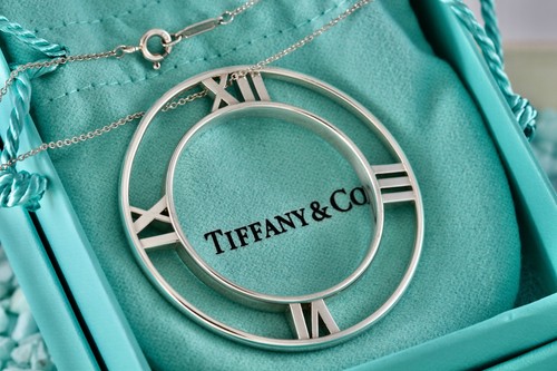 Tiffany & Co Atlas Silver Roman Numeral XL Medallion Circle Pendant 18" Necklace