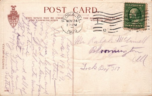CARTOLINA RINGRAZIAMENTO TACCHINO GOBBLER PELLEGRINO CON NAVI CANNONIERE IN RILIEVO - 1909 - Foto 2 di 2