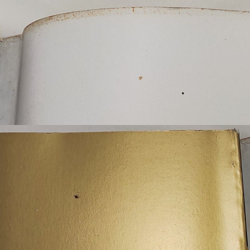 OOP Japanese Erte Art Deco Book Leader of Art Deco His Trail Through the Century