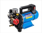 Handheld Sprayer Electric Sprayer High-Pressure Dual-Cylinder Chemical Pump