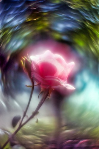 Lente Petzval Modificación Helios 44M-4 Dreamy Swirly Bokeh Angel Wing M42 - Imagen 3 de 24