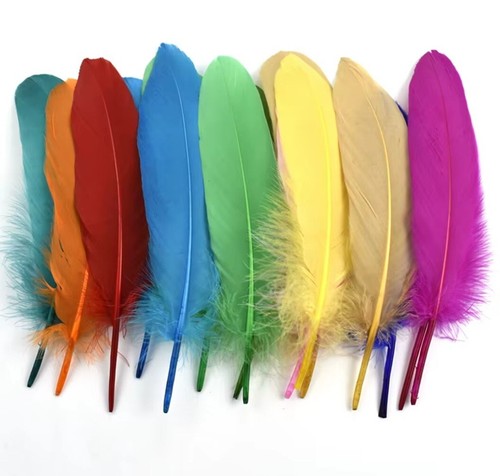 Real Goose Feathers Natural 12cm - 20cm Fly Craft Hat Arts Costume Plume UK - Picture 2 of 35