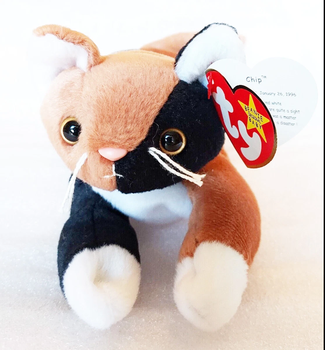 Calico top beanie baby
