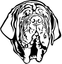 Adesivo MASTINO NAPOLETANO - adesivo auto - sticker - testa di mastino #15