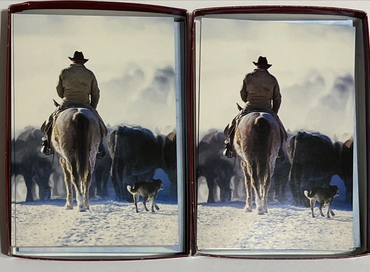 2 Packs Christmas Cards Leanin' Tree 20 Total Horse  Cowboy Winter Holiday 5X7