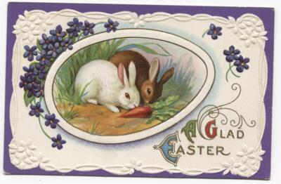 Postcard A Glad Easter Rabbits Eating Carrots 
