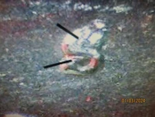 1954-S WASHINGTON CARVER COMMEMORATIVE RPM S OVER S AU    MMD