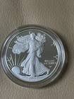 2022-W Proof $1 American Silver Eagle Box, OGP & COA (22EA)
