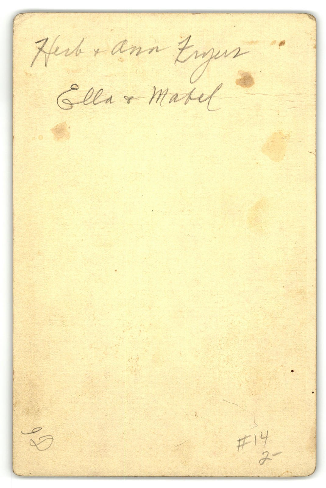Cabinet Card Circa 1890s J. H. Power Painter With Family Muskegon Michigan — additional view