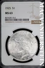 1925 Peace Dollar- Silver- NGC MS 63- Lustrous- No Reserve #SLA875