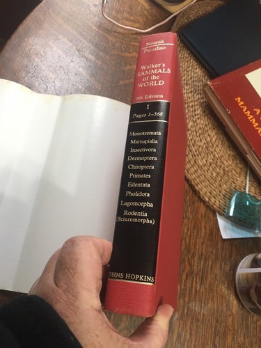 Walker's Mammals of the World 4th Ed., Vol. 1. 1983 Ronald M. Nowak Signed Copy - Picture 9 of 15