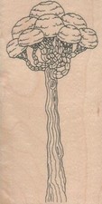 Pruned Tree 2 3/4 x 5" Rubber Stamp, Tree Stamp, Plant Stamp