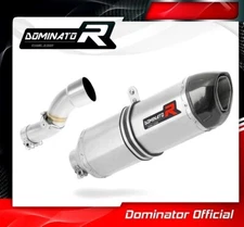690 ENDURO R Exhaust HP1 Carbon Dominator Racing silencer 2017 2018