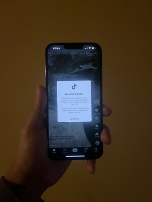 Apple iPhone 13 Pro Max WITB TIKTOK INSTALLED