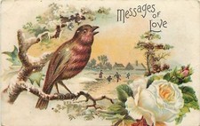 Winter Bird Sings On Snowy Branch~Ice Skaters~Big White Rose~Embossed~1910 PC