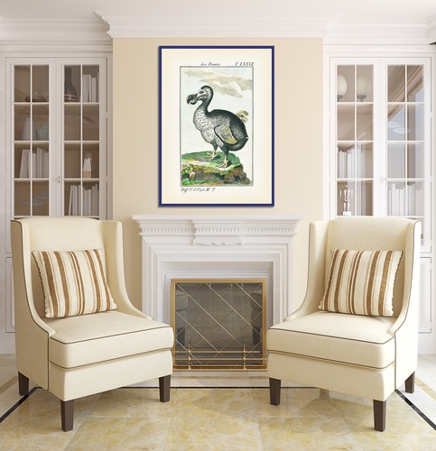 Dodo Dronte Raphus cucullatus antiguo estampado grabado Buffon 1775 cartel de arte - Imagen 13 de 16