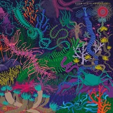 Adventures [LP] * by Slow Steve [VINYL]