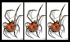 3pc Scary Pumpkin Spider Web Legs Temporary Tattoo Halloween Waterproof 6" Decal