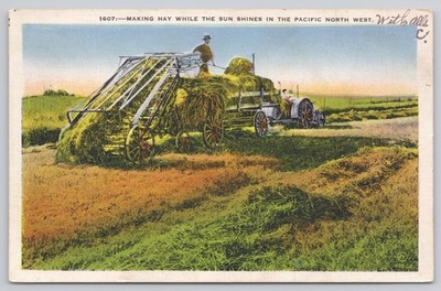 Making Hay While the Sun Shines Pacific Northwest Farming Postcard c1938