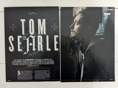 TOM SEARLE The Architects Great UK Clipping Article F368