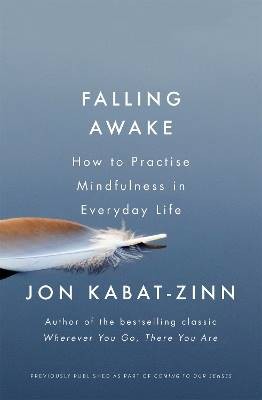 Falling Awake, Jon Kabat-Zinn,  Paperback