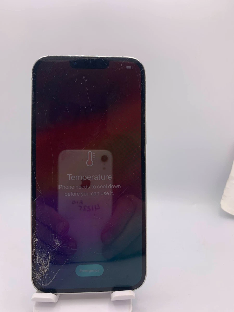 苹果iPhone 13 Pro Max 256gb | eBay