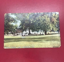 Rochester NY Maple Grove Park now Maplewood Park Antique Postcard As Is