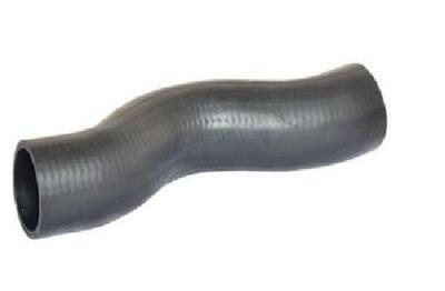 Original Bugiad charge air hose 88704 for Kia