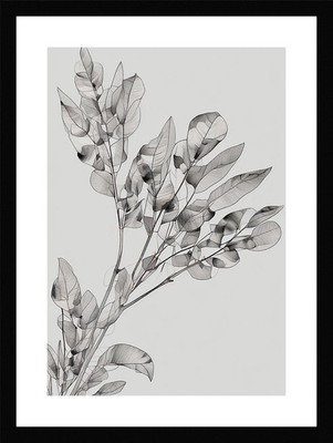 Nostalgic Eucalyptus Branches Framed Wall Art Poster Canvas Print Picture