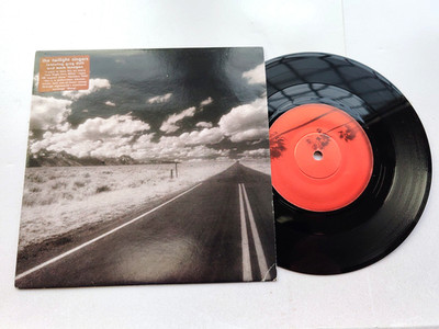 The Twilight Singers - Feathers 2004 Alt Rock Mark Lanegan ( Screaming Trees )