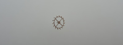 Ankerrad für Peseux 7000, escape wheel, part 705