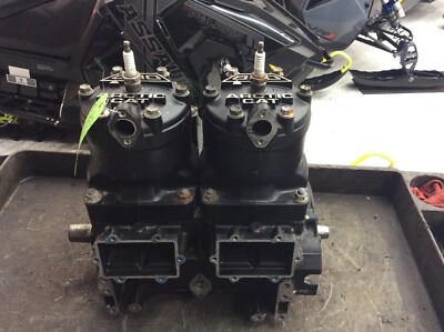 チーター2 Arctic Cat Motor Engine 2002 Pantera ZR Mountain Cat ZL 800