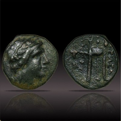 Seleucid Antiochos II Bronze Dichalkon Apollo Tripod Anchor SC1 520, Authentic