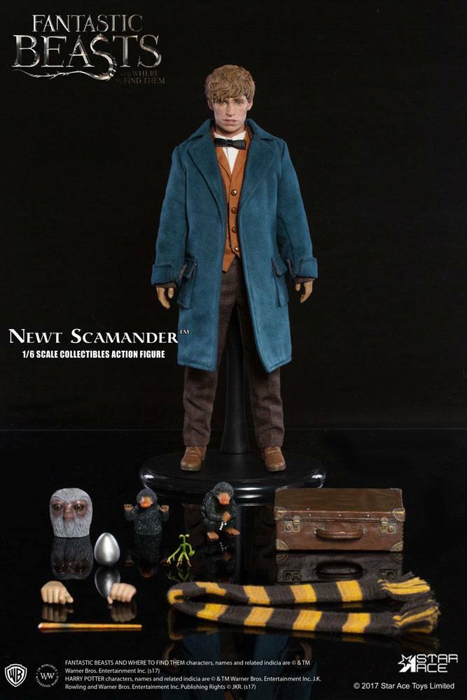 HARRY POTTER FANTASTIC BEASTS NEWT SCAMANDER with BONNUS 1/6