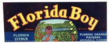 FLORIDA BOY Vintage, Weirsdale *AN ORIGINAL CITRUS CRATE LABEL*