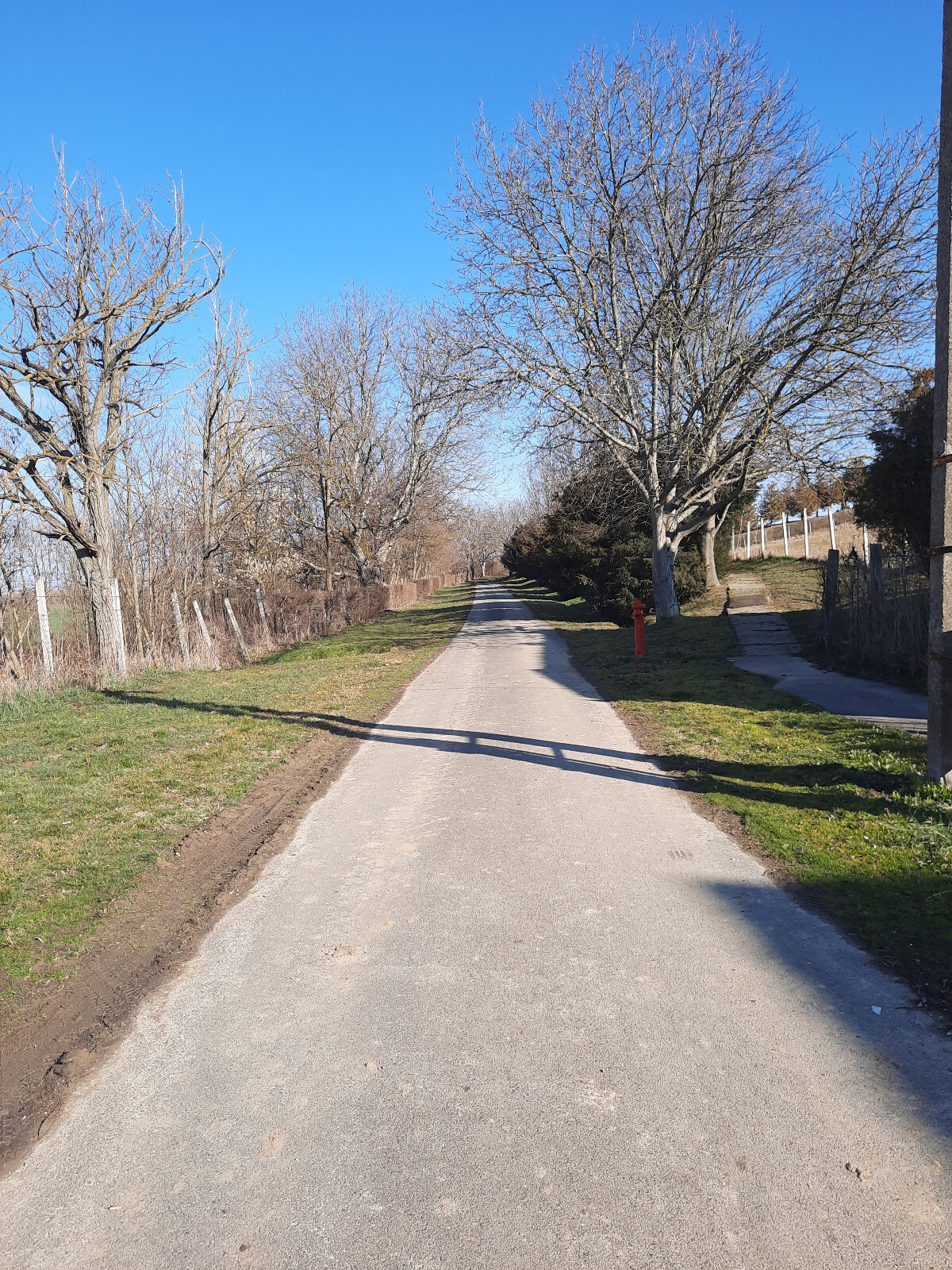 Bild 16 von 19