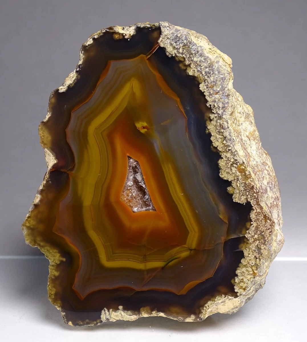 Condor Agate for sale | eBay