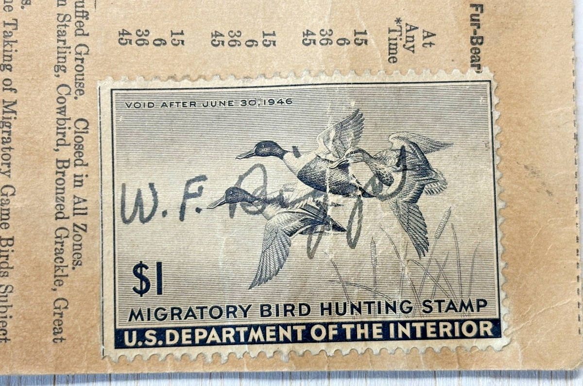 Permis De Chasse Original Pennsylvanie 1946 Avec Rapport Big Game - Vintage