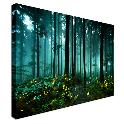 Glühwürmchen grüner Wald Leinwand Wandbild Bild Druck