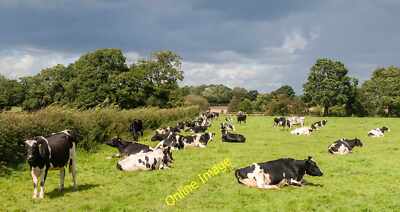 Foto 6x4 The Majority High Legh Die Mehrheit Ansicht ist, dass es's goin c2014