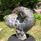 29.4LB Natural Ammonite Cluster Fossil Polished Specimen Healing Collection 5110 — photo 7
