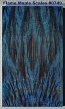 Beautiful Stabilized Deep Blue Maple Crotch Curl scales 0749, 5 11/16 x 1 3/4"