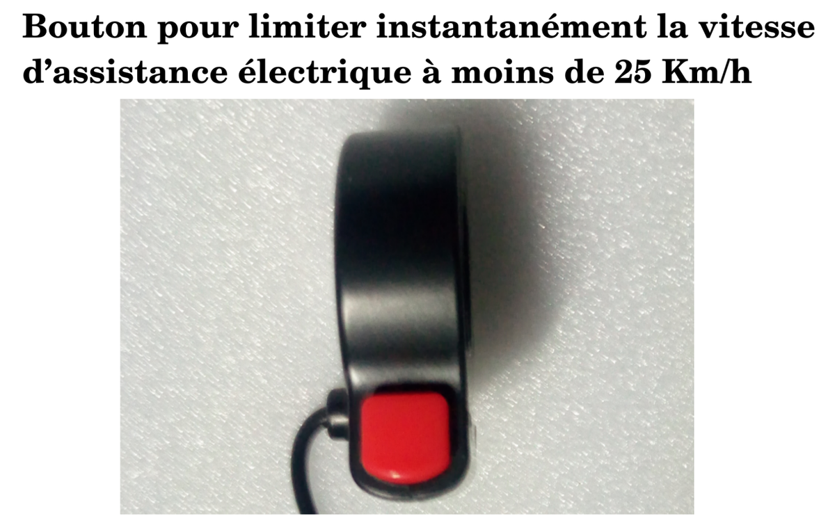 Kit Vélo Électrique 1000W - Axe Traversant - Recharge Frein Moteur - Bridage Possible