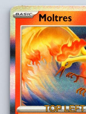 Basic Moltres HP 120 Flare Float Ability Blazing Flight Attack